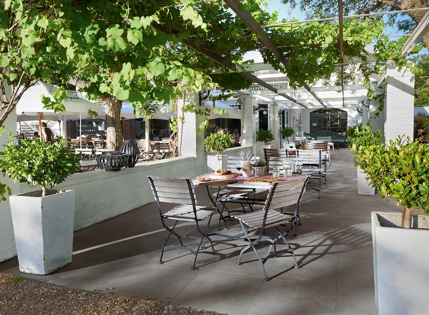 Grohn 60x60 Seattle Beige TERRASSENPLATTEN Beton-optik